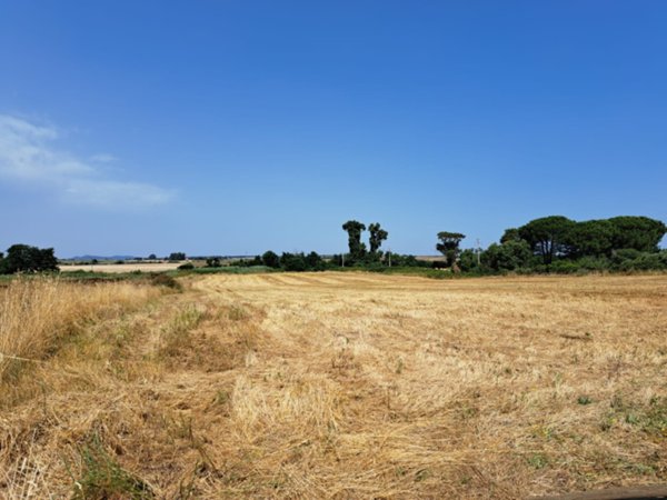 casa indipendente in vendita ad Anguillara Sabazia