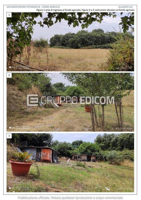 terreno agricolo in vendita ad Anguillara Sabazia