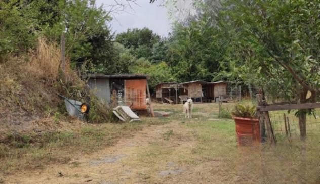 terreno agricolo in vendita ad Anguillara Sabazia