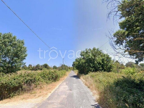 terreno agricolo in vendita ad Anguillara Sabazia