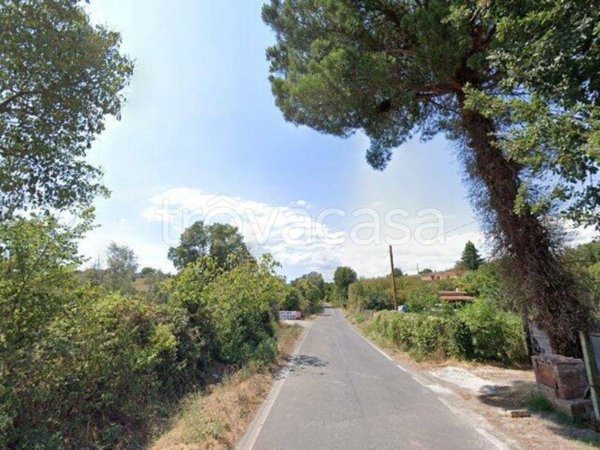 terreno agricolo in vendita ad Anguillara Sabazia