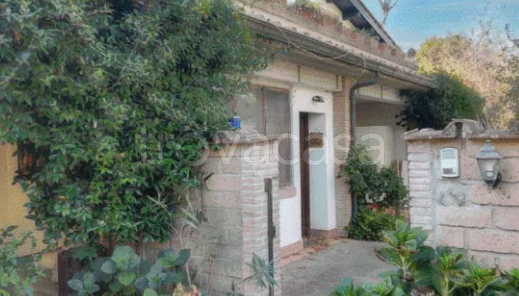 terreno agricolo in vendita ad Anguillara Sabazia