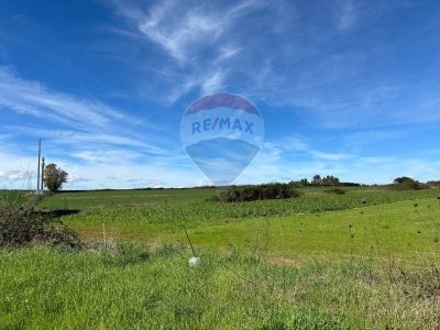 terreno agricolo in vendita ad Anguillara Sabazia