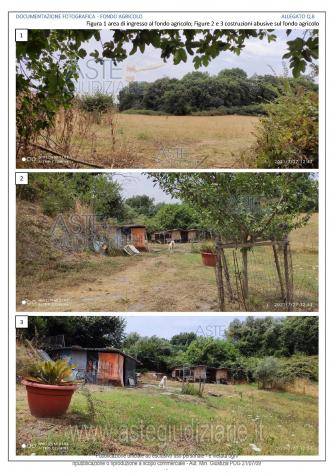 terreno agricolo in vendita ad Anguillara Sabazia