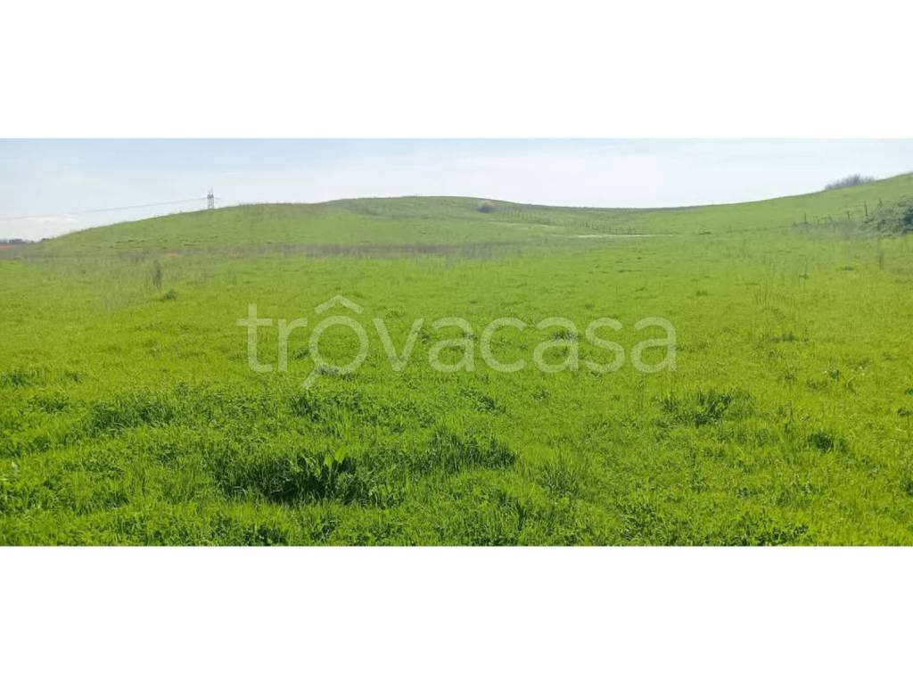 terreno agricolo in vendita ad Anguillara Sabazia