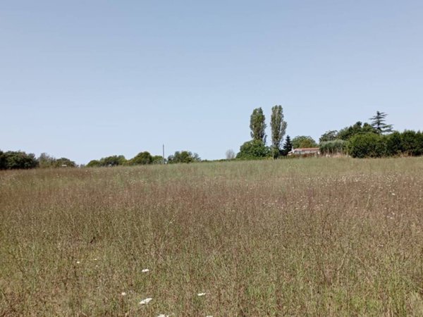 terreno agricolo in vendita ad Anguillara Sabazia
