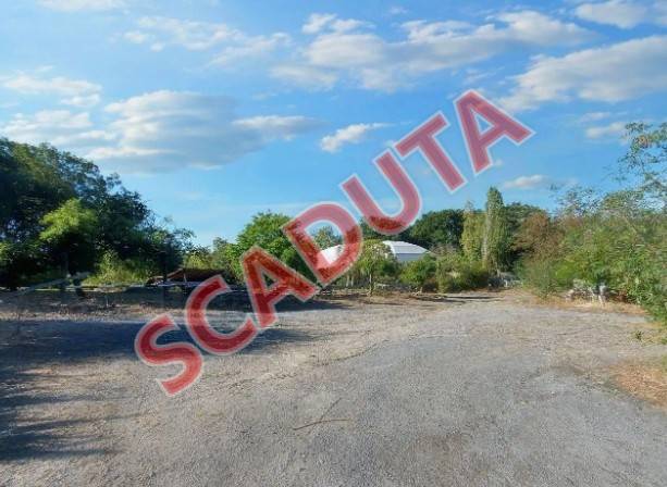 azienda agricola in vendita ad Anguillara Sabazia