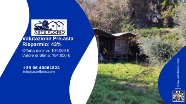 terreno agricolo in vendita ad Anguillara Sabazia