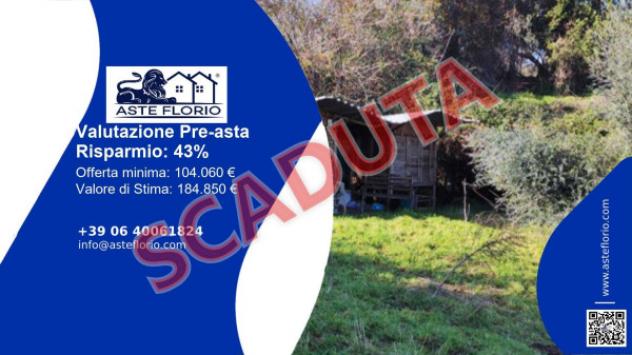 terreno agricolo in vendita ad Anguillara Sabazia