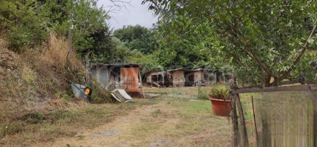 terreno agricolo in vendita ad Anguillara Sabazia