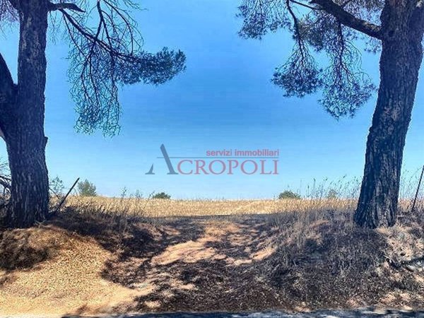 terreno agricolo in vendita ad Anguillara Sabazia