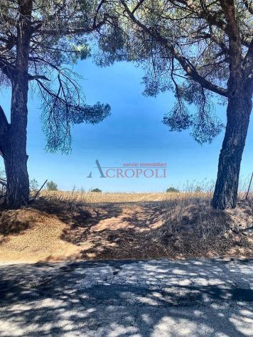 terreno agricolo in vendita ad Anguillara Sabazia