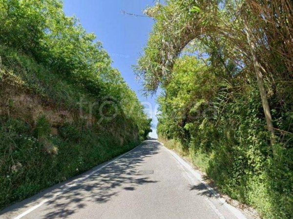 terreno agricolo in vendita ad Anguillara Sabazia