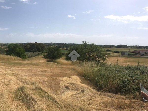 terreno agricolo in vendita ad Anguillara Sabazia