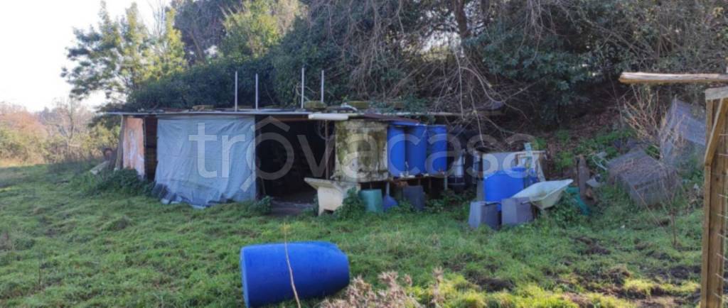 terreno agricolo in vendita ad Anguillara Sabazia