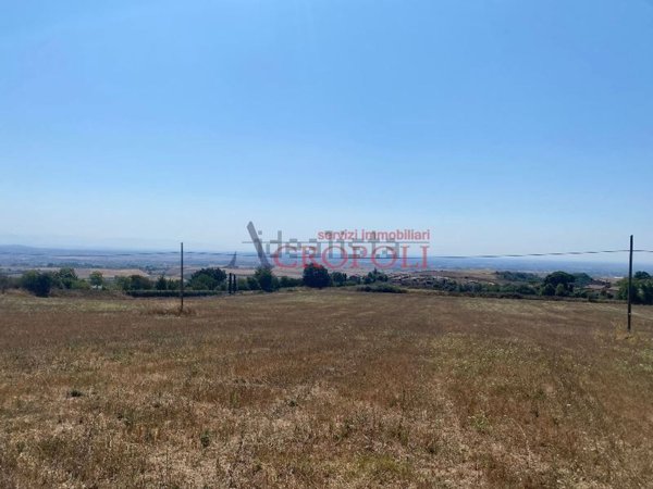 terreno agricolo in vendita ad Anguillara Sabazia