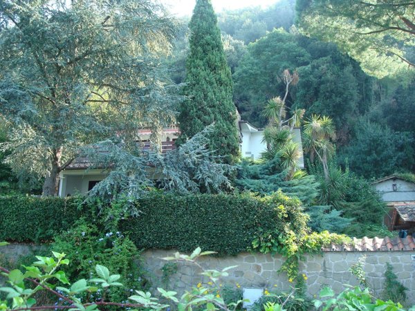 casale in vendita ad Anguillara Sabazia