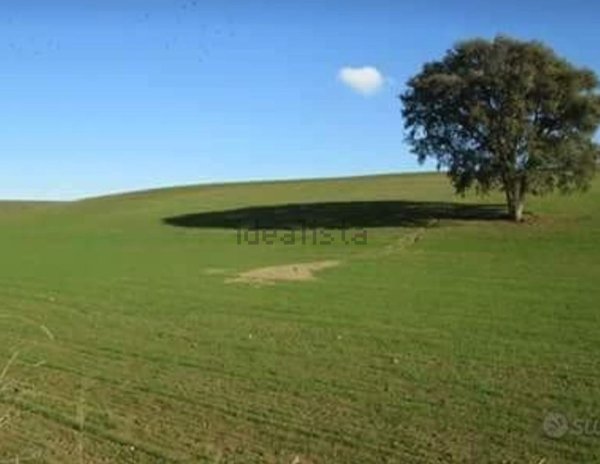 terreno edificabile in vendita ad Anguillara Sabazia