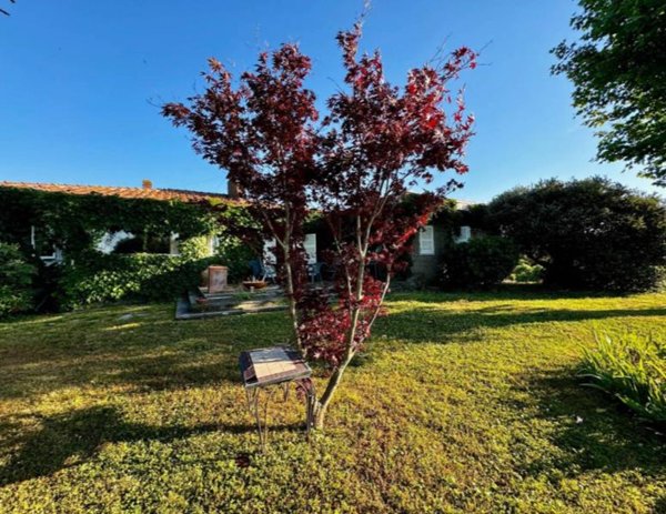 casa indipendente in vendita ad Anguillara Sabazia