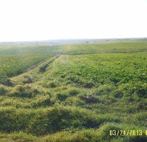 terreno agricolo in vendita ad Anguillara Sabazia
