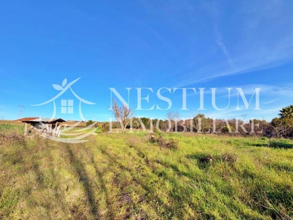 terreno agricolo in vendita ad Anguillara Sabazia