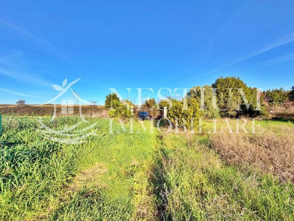 terreno agricolo in vendita ad Anguillara Sabazia