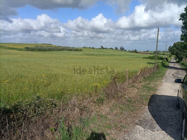 terreno agricolo in vendita ad Anguillara Sabazia