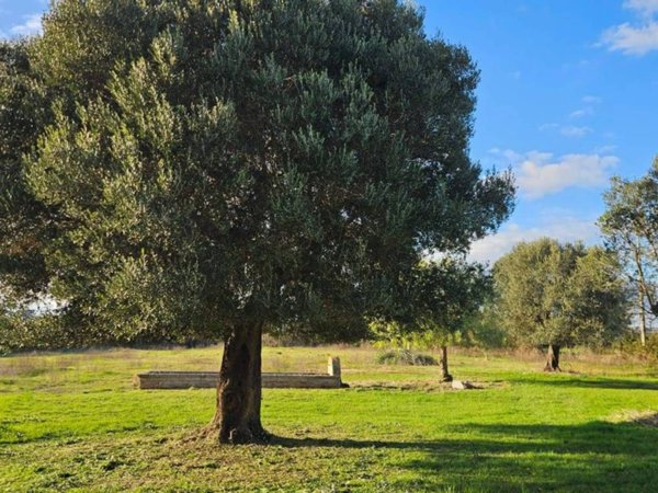 terreno edificabile in vendita ad Anguillara Sabazia in zona Ponton dell'Elce