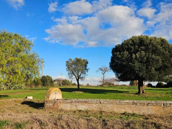 terreno edificabile in vendita ad Anguillara Sabazia in zona Ponton dell'Elce