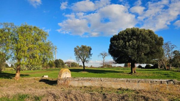 casa indipendente in vendita ad Anguillara Sabazia in zona Ponton dell'Elce