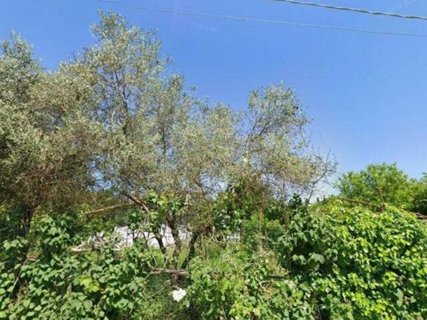 casa indipendente in vendita ad Anguillara Sabazia