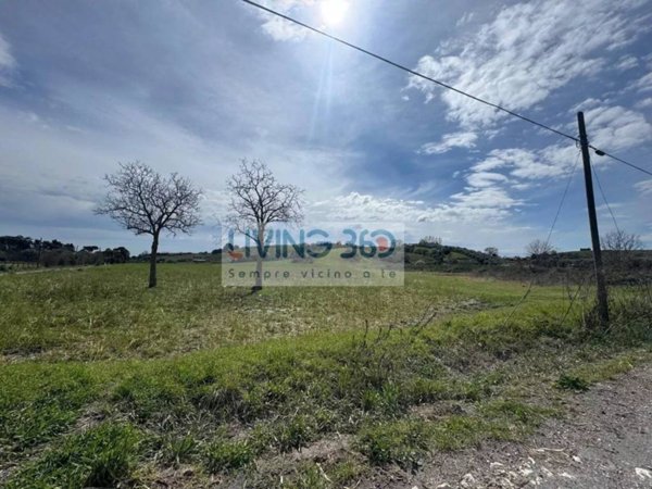 terreno agricolo in vendita ad Anguillara Sabazia