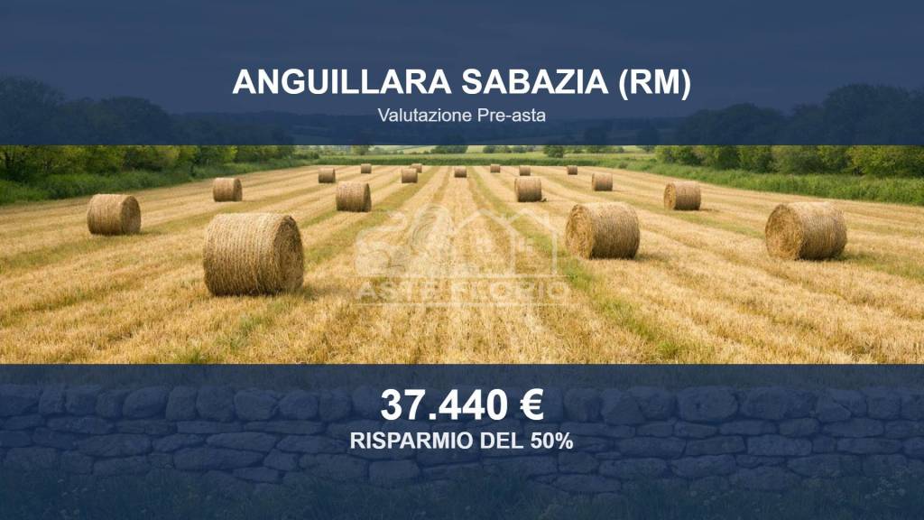 terreno agricolo in vendita ad Anguillara Sabazia