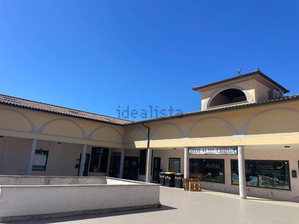 appartamento in vendita ad Anguillara Sabazia