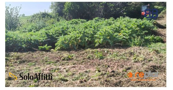 terreno agricolo in vendita ad Anguillara Sabazia