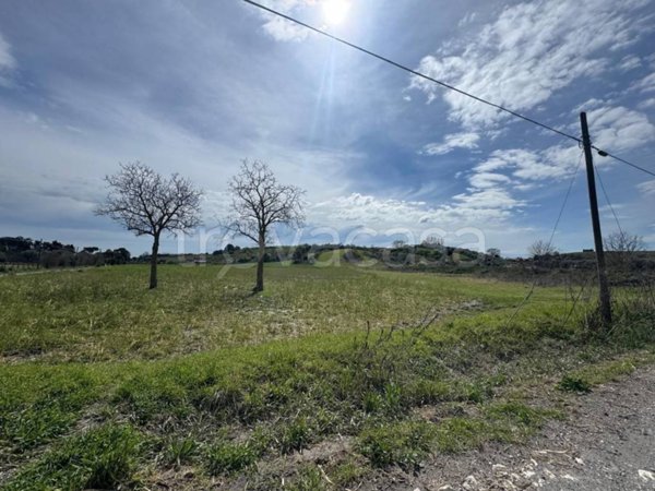 terreno agricolo in vendita ad Anguillara Sabazia