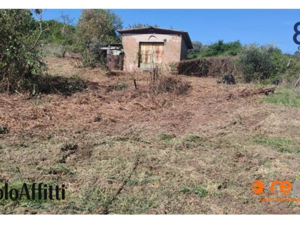 terreno agricolo in vendita ad Anguillara Sabazia