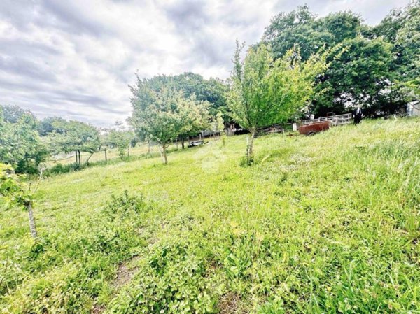 terreno agricolo in vendita ad Anguillara Sabazia