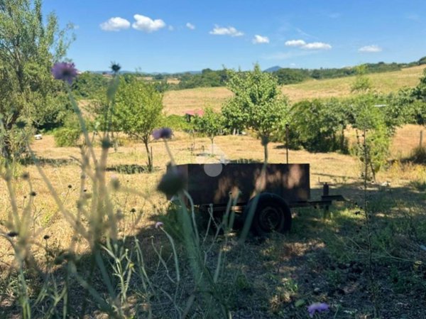 terreno agricolo in vendita ad Anguillara Sabazia