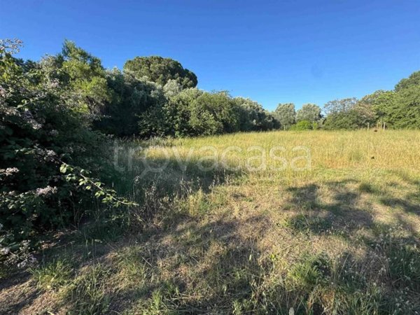 casa indipendente in vendita ad Anguillara Sabazia in zona Ponton dell'Elce