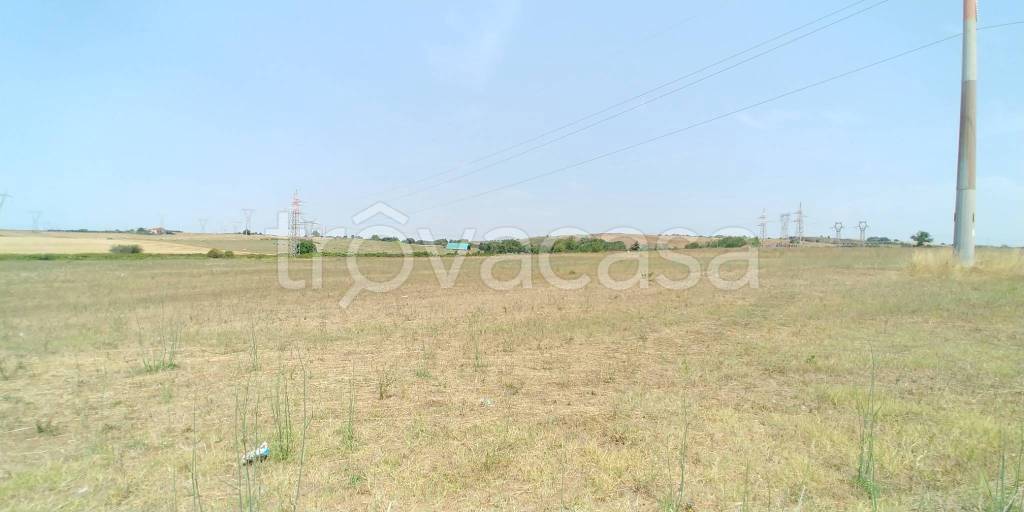 azienda agricola in vendita ad Anguillara Sabazia in zona Ponton dell'Elce