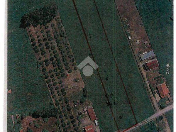 terreno agricolo in vendita ad Anguillara Sabazia