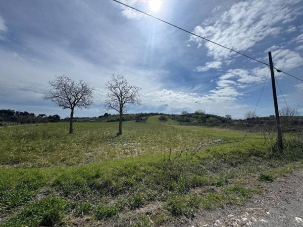 terreno in vendita ad Anguillara Sabazia