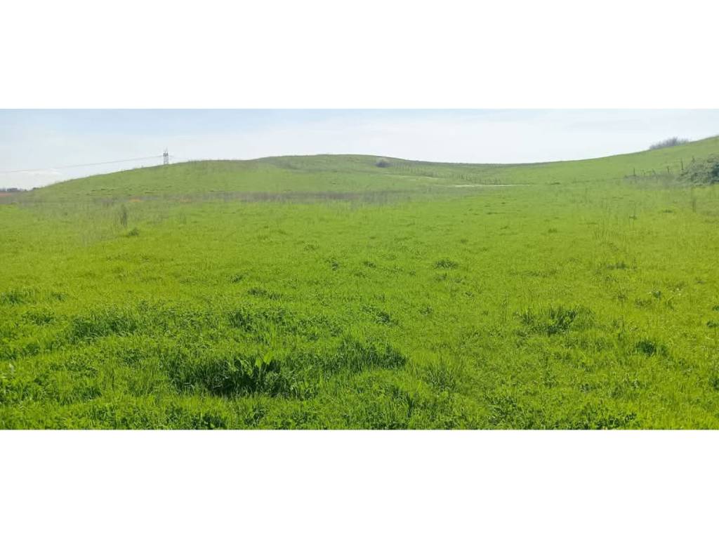 terreno in vendita ad Anguillara Sabazia