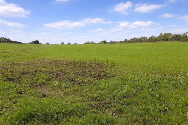 terreno in vendita ad Anguillara Sabazia in zona Ponton dell'Elce