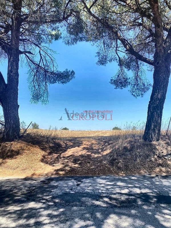 terreno in vendita ad Anguillara Sabazia in zona Ponton dell'Elce