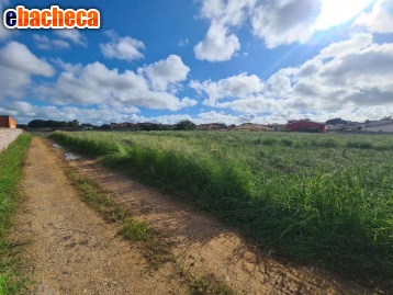 terreno agricolo in vendita ad Anzio