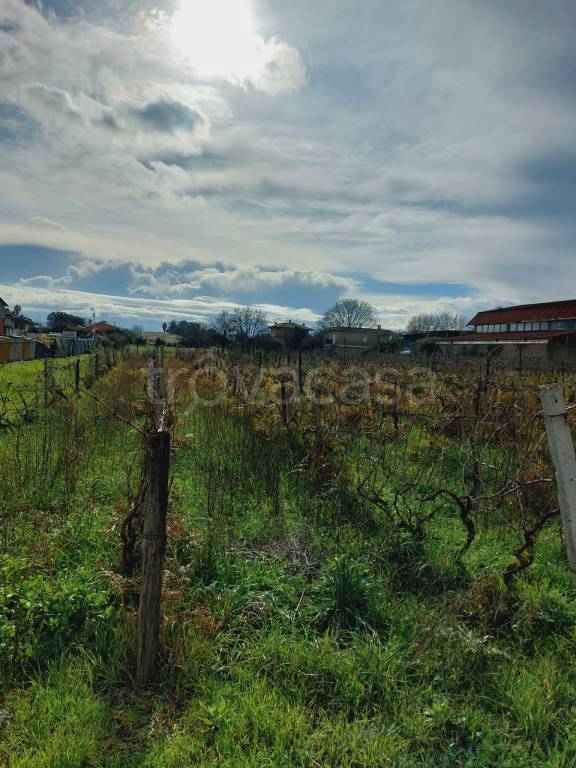 terreno agricolo in vendita ad Anzio in zona Stazione