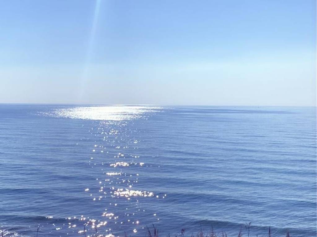 negozio in vendita ad Anzio in zona Mare