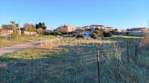 terreno agricolo in vendita ad Anzio in zona Villa Claudia